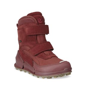 Зимние сапоги Gore-Tex  BIOM