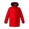 Meeste talveparka 200 gr. David - 12278020-70004