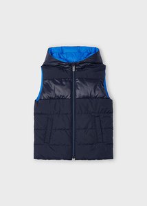 Kahepoolne vest