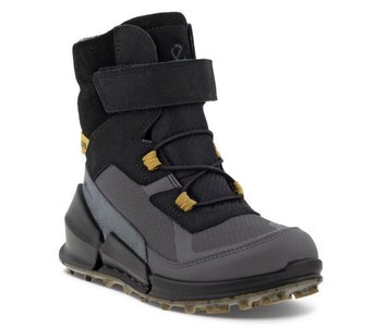 Talvesaapad Gore-Tex  BIOM