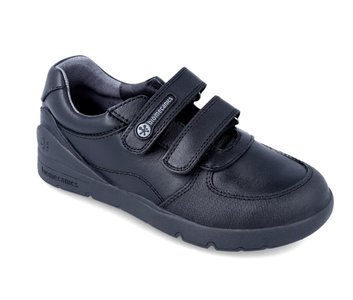 Kingad