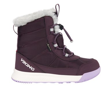 Зимние сапоги Aery Warm GTX