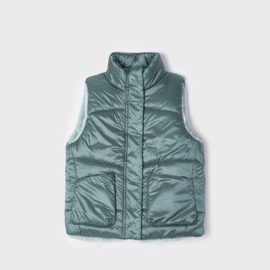 Kahepoolne vest