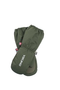 Зимние рукавицы Expower