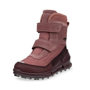 Зимние сапоги Gore-Tex BIOM K2